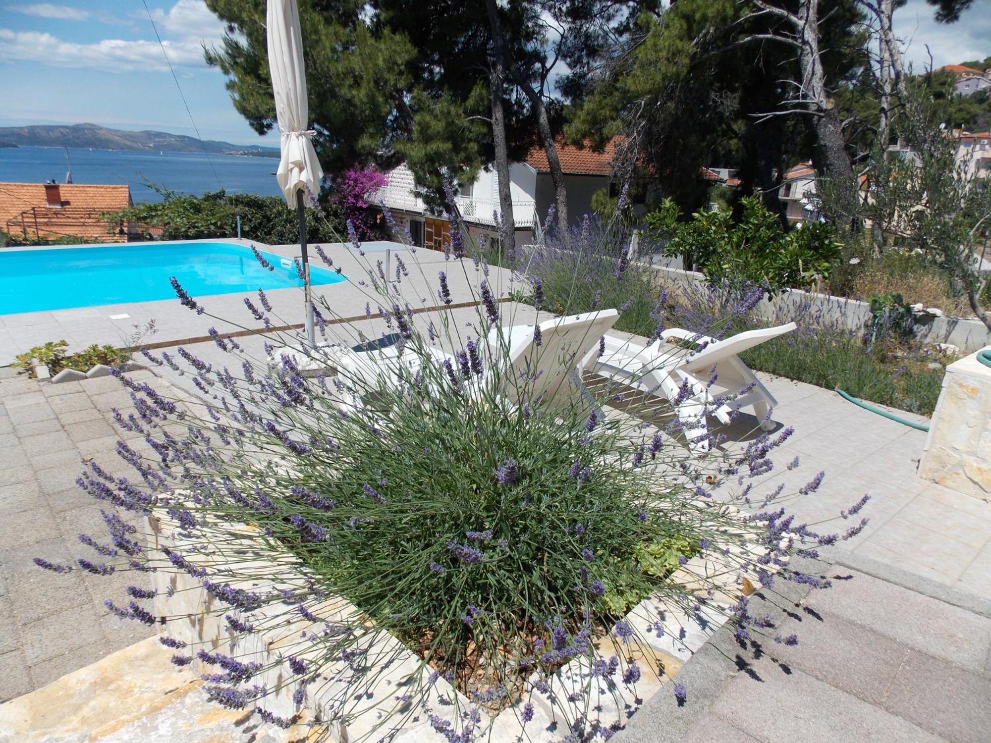 Apartments Villa Goja Трогир Стая снимка